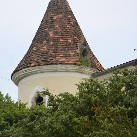 Chambres D'Hotes Du Chateau De Saint Sulpice La Sauvetat-sur-Lède Dış mekan fotoğraf